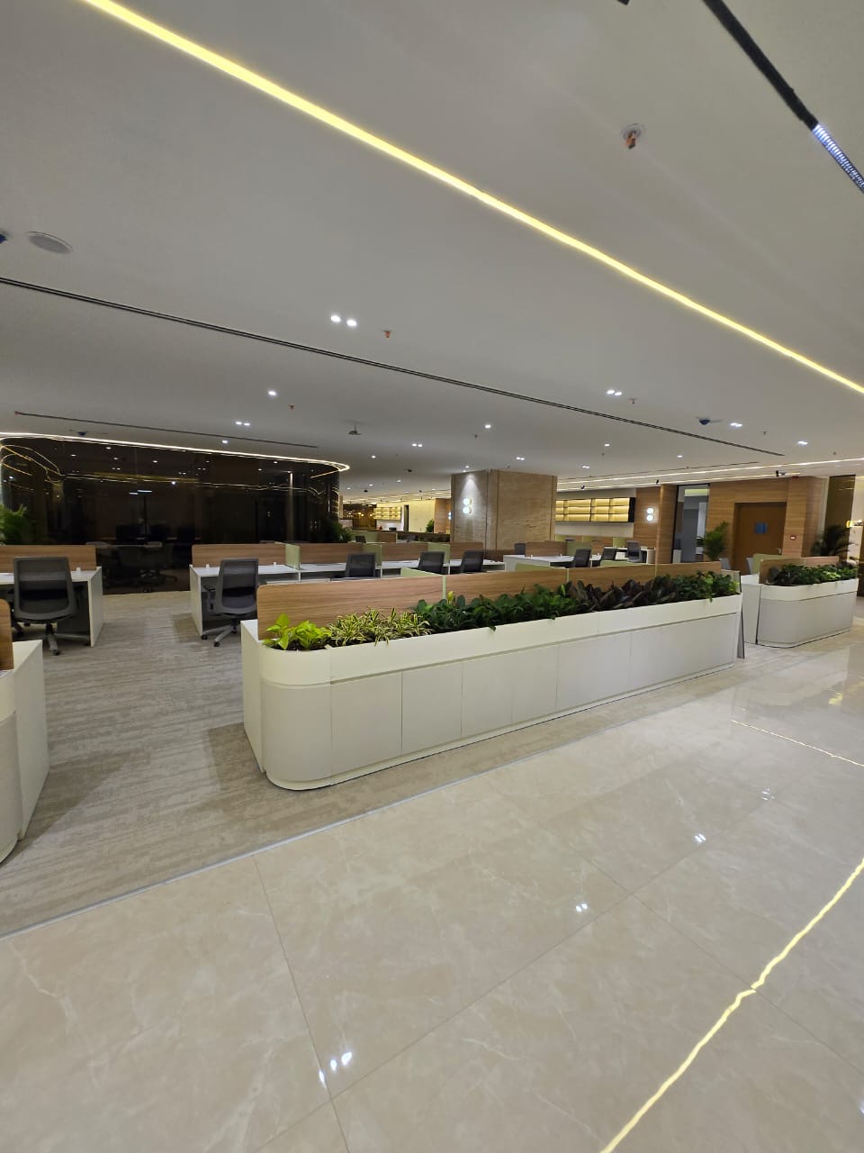 A finished office floor, daylight reaching well past the perimeter