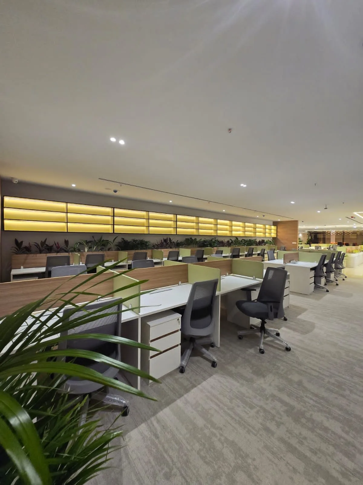 Open workspace with backlit wall panels, planted dividers and rows of workstations